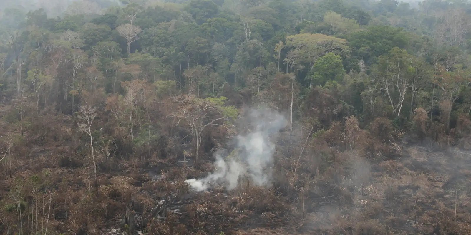 dino-determina-que-estados-da-amazonia-expliquem-focos-de-queimadas