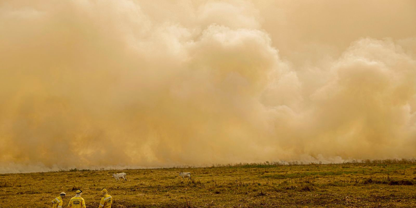 calor-ja-mata-meio-milhao-de-pessoas-por-ano,-alertam-cientistas