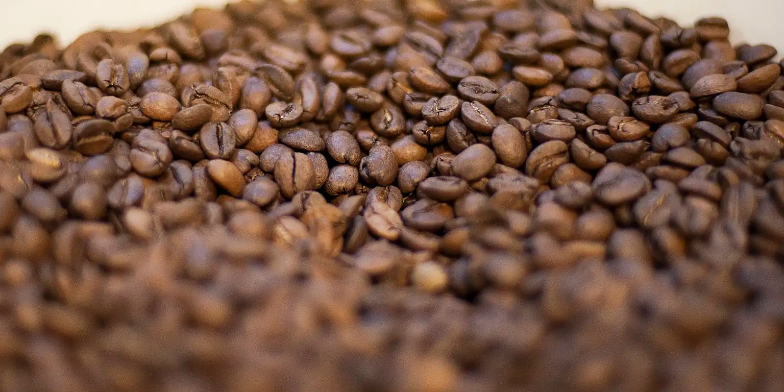 trump-diz-que-reduzira-tarifas-para-importacao-de-cafe