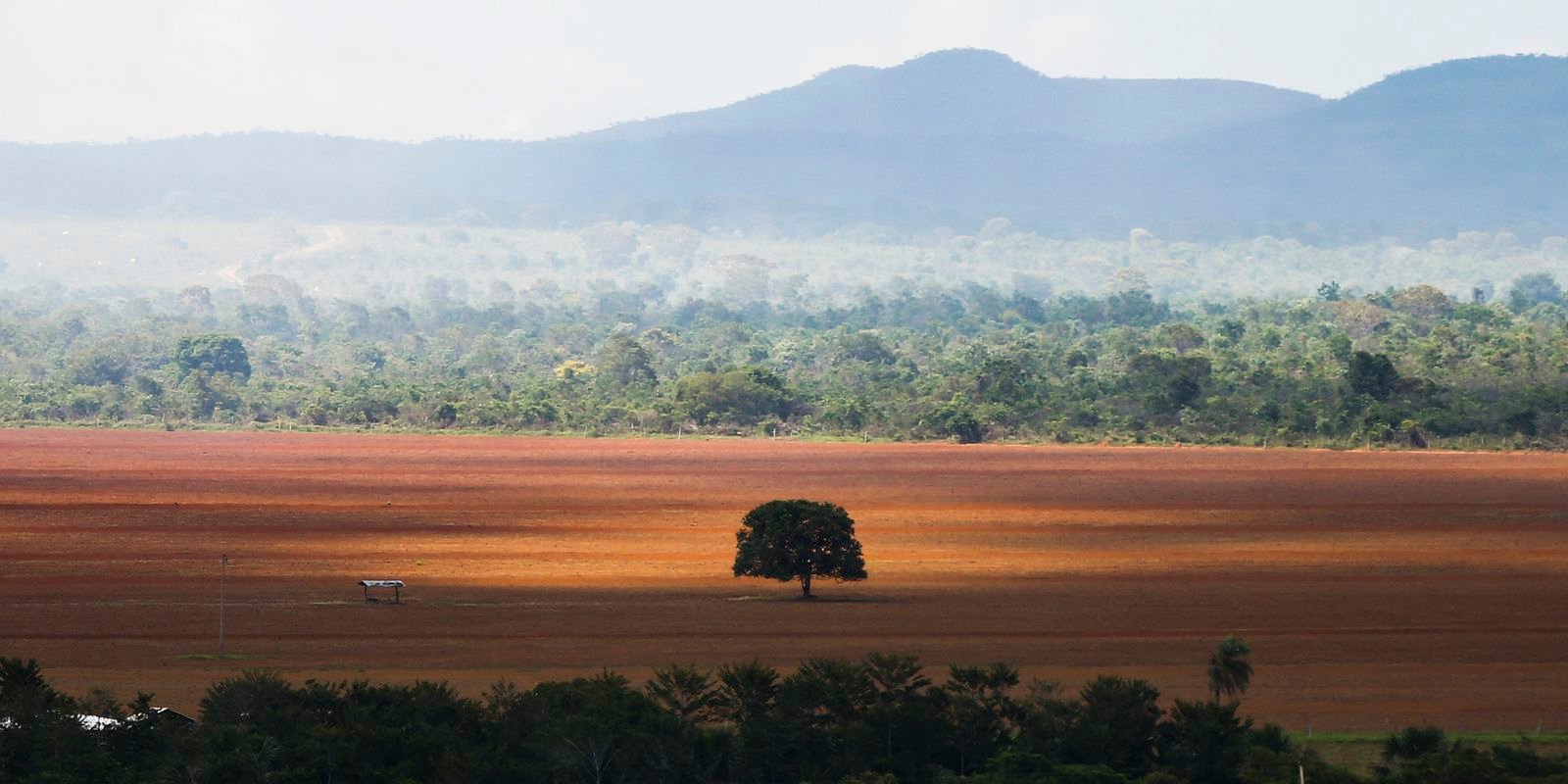 cop30:-governo-cobra-r$-476-milhoes-de-infratores-ambientais 