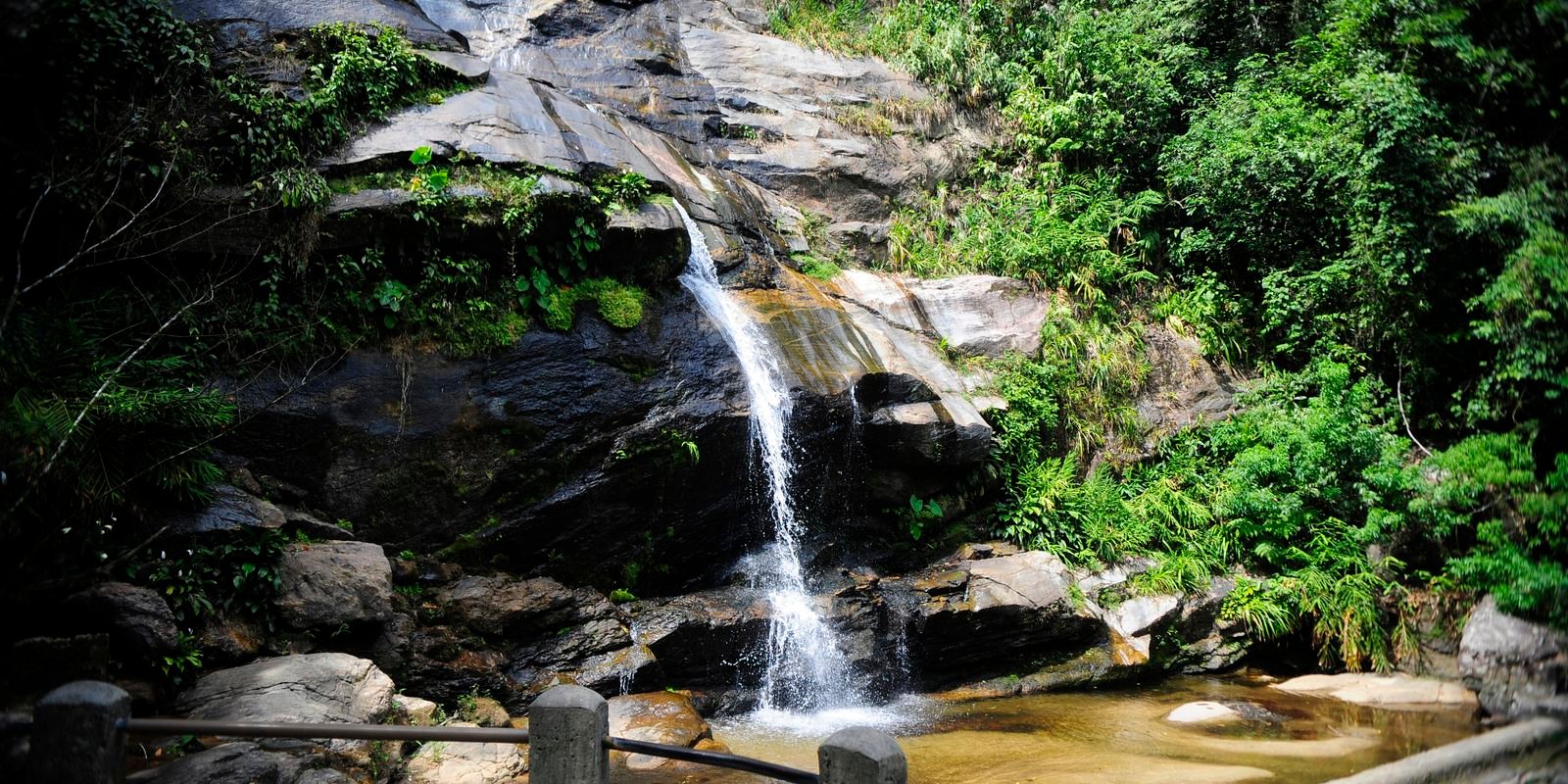 parque-nacional-da-tijuca-promove-feira-de-ciencias-com-foco-em-peixes