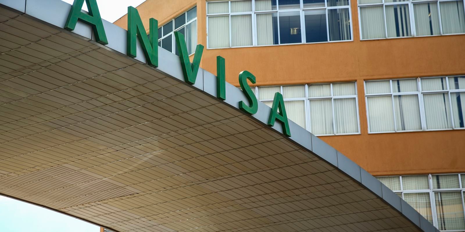 anvisa-manda-recolher-panetones-com-fungo