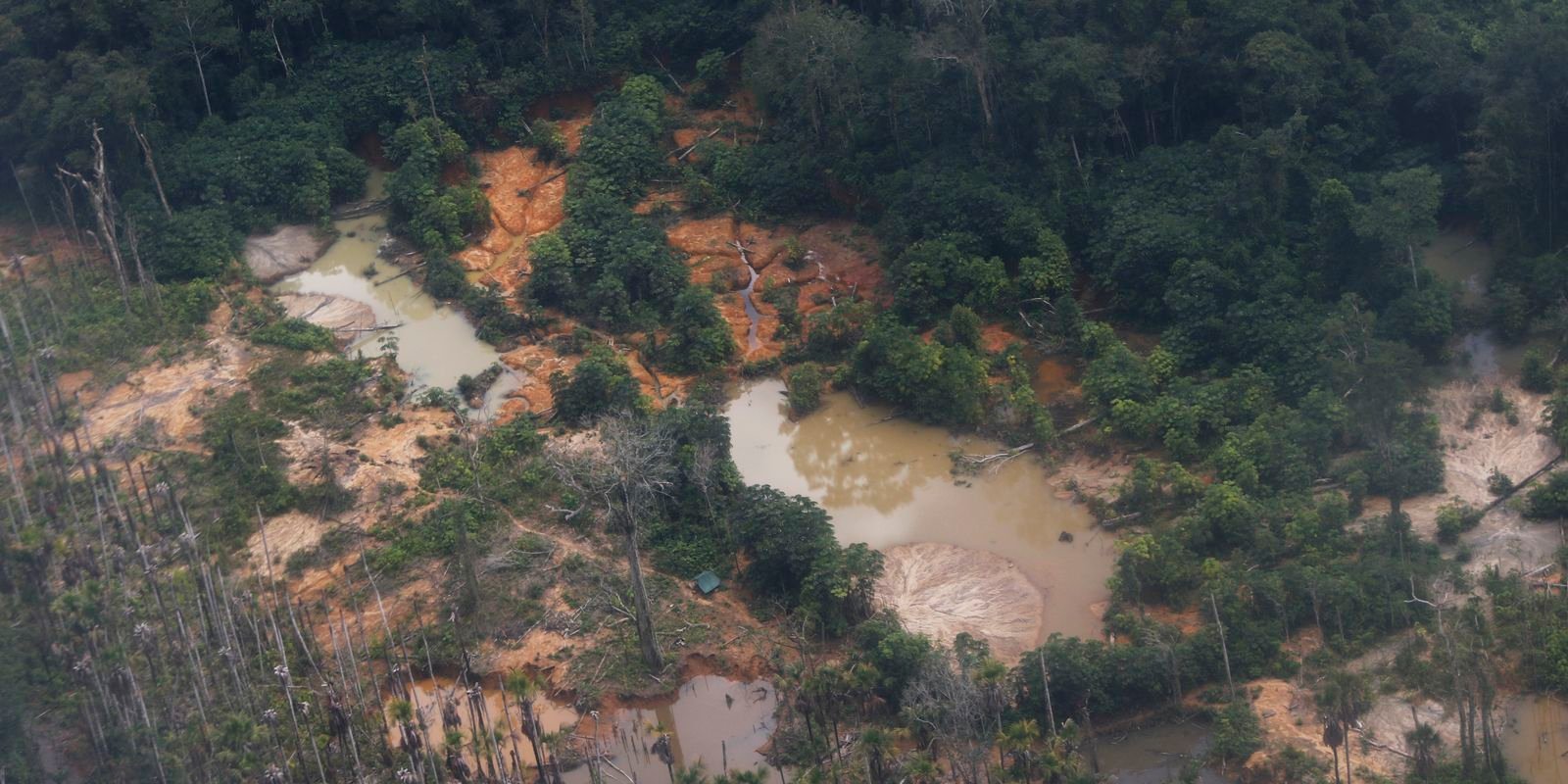 edital-prorroga-inscricoes-para-restauracao-em-terras-indigenas