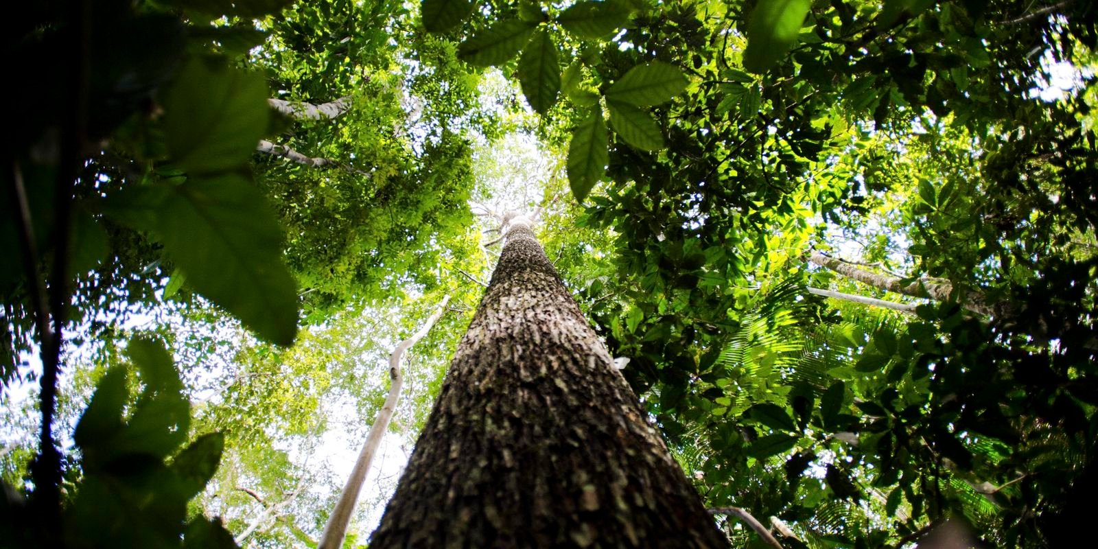 governo-avalia-editar-decreto-sobre-licenciamento-ambiental