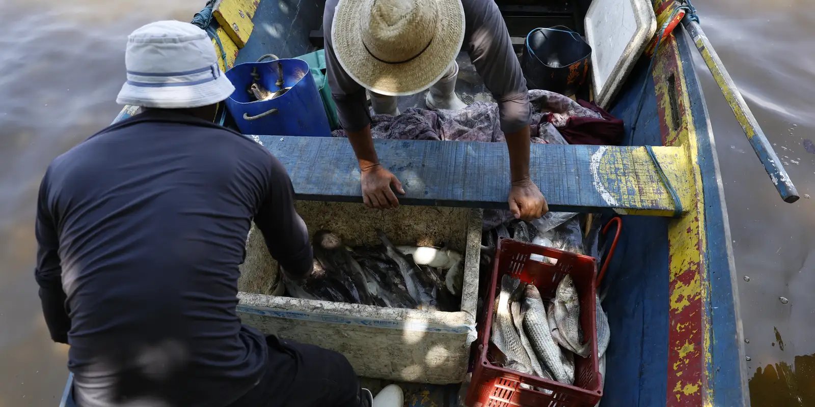 pescadores-beneficiados-pelo-seguro-defeso-recebem-6o-lote-nesta-terca