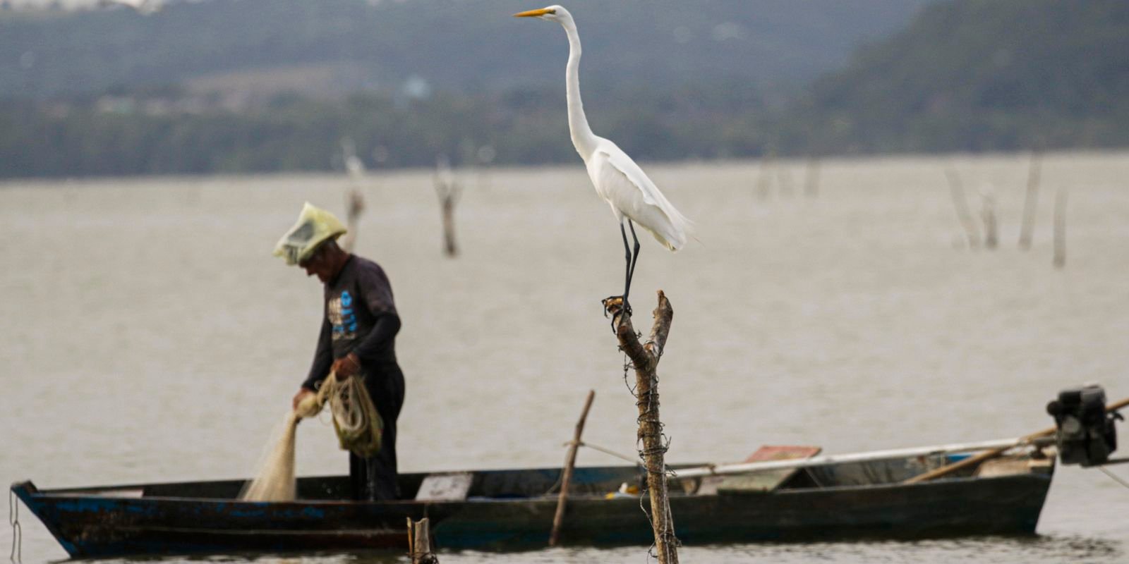 mudancas-aprovadas-para-o-seguro-defeso-previnem-fraudes,-diz-relator