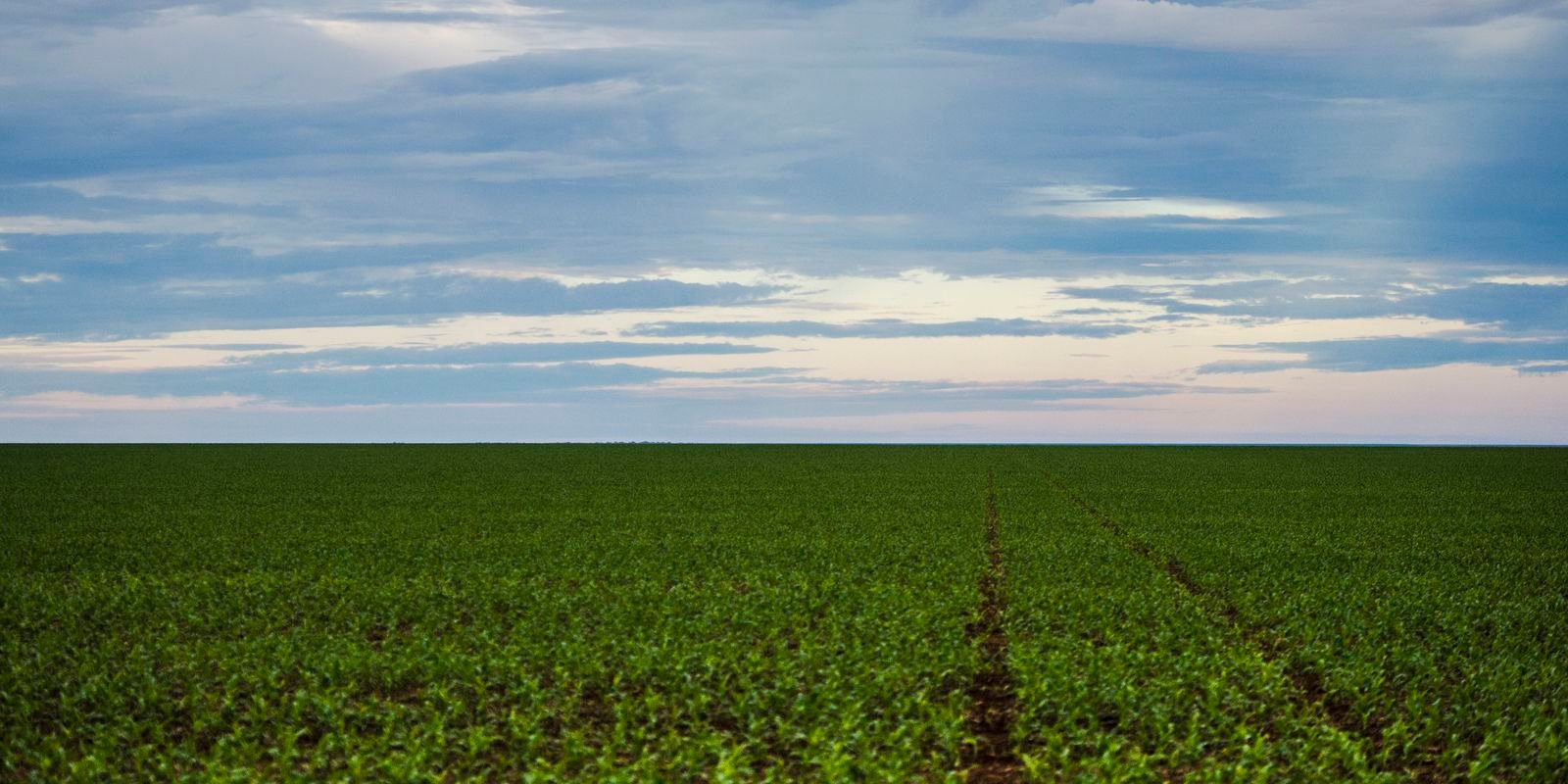 fazenda-estuda-fundo-garantidor-para-dividas-rurais